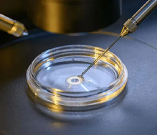 IVF and fertility care at Murugaa Hospital, Tirupur